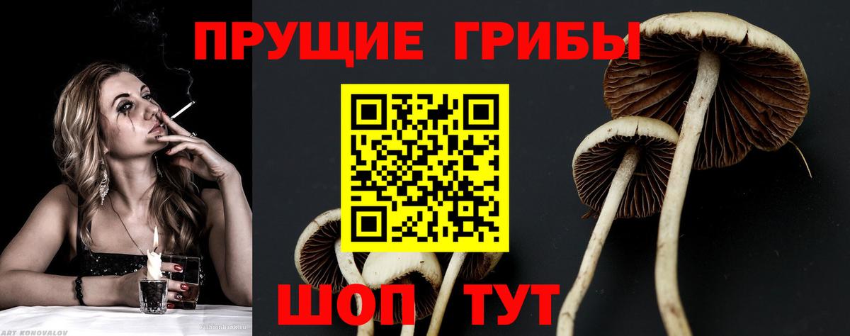 Галлюциногенные грибы Cubensis  Вход с VPN  Фурманов 